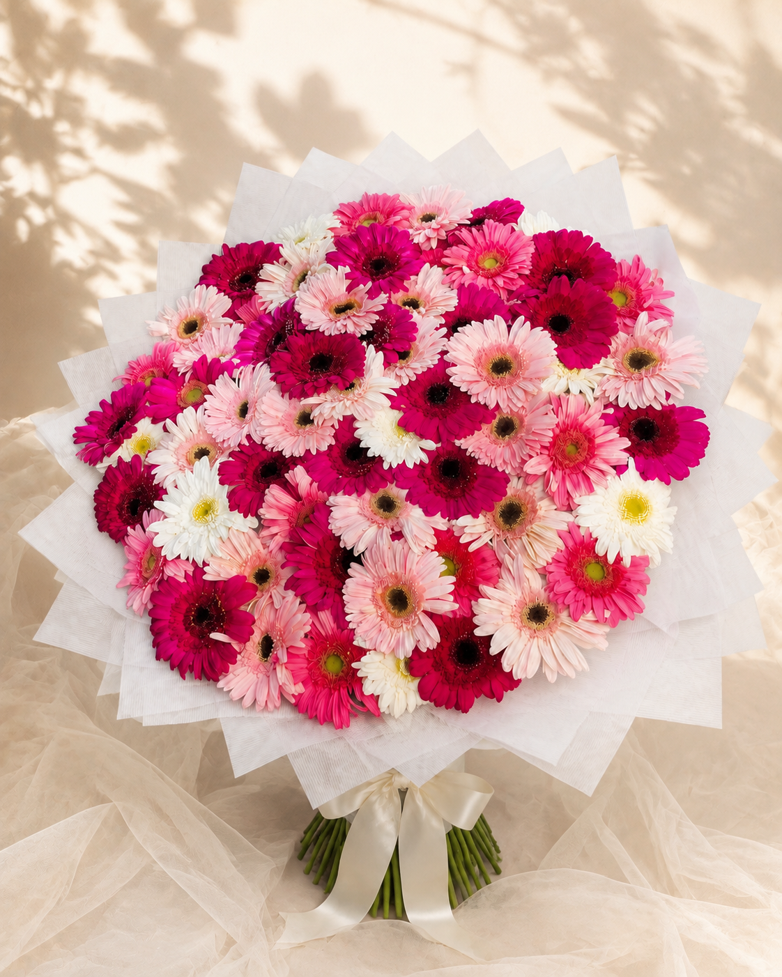 Festival de Gerberas