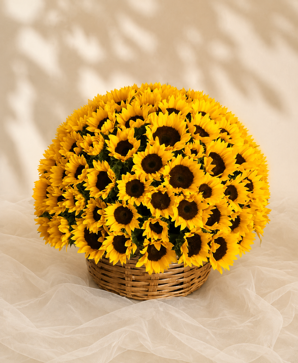 Esfera de Sol