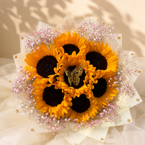 Fiesta de Girasoles